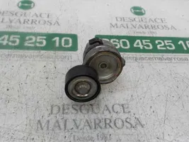 Citroen C3 Pluriel Tendicinghia generatore/alternatore 9675874680