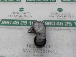 Ford Focus C-MAX Napinacz paska alternatora 1690293