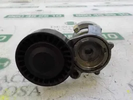 Volvo V40 Tendicinghia generatore/alternatore 31251653