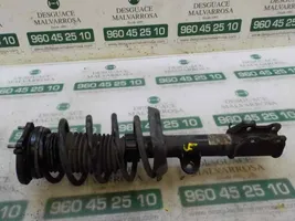 Fiat Doblo Front shock absorber with coil spring 51810401