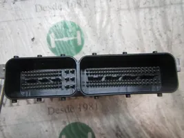 KIA Rio Sterownik / Moduł ECU 391302A200