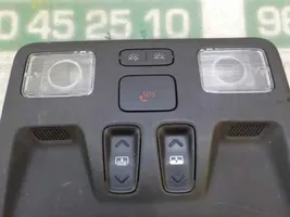 Ford Focus Rivestimento della console di illuminazione installata sul rivestimento del tetto 2437393