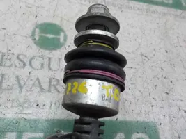 Ford C-MAX II Barra stabilizzatrice posteriore/stabilizzatore 1856667