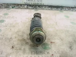 Daewoo Matiz Front shock absorber with coil spring 