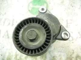 KIA Carens I Tendicinghia generatore/alternatore 2528127000