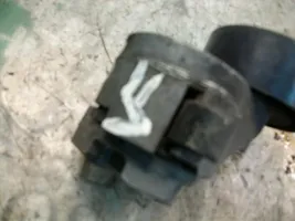 Iveco Daily 45 - 49.10 Tensor de correa del alternador 