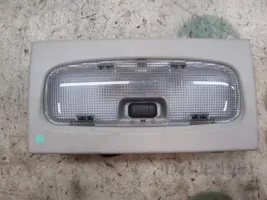 Ford Focus Rivestimento della console di illuminazione installata sul rivestimento del tetto 