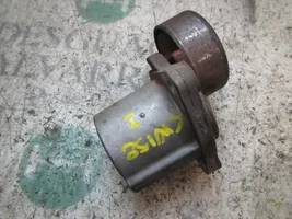 Hyundai Santa Fe Napinacz paska alternatora 2528127400