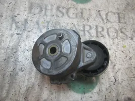 Citroen Berlingo Tendicinghia generatore/alternatore 