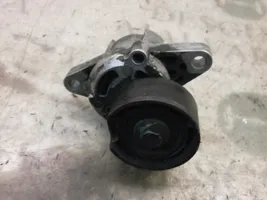 Renault Kangoo I Generator/alternator belt tensioner 