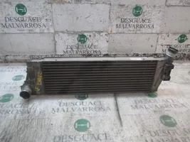 Renault Scenic RX Intercooler radiator 