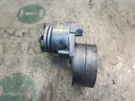 Nissan Primastar Napinacz paska alternatora 