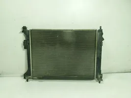 Hyundai i20 (PB PBT) Coolant radiator 