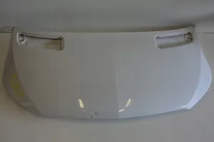 Mercedes-Benz Sprinter W907 W910 Engine bonnet/hood A9078806000