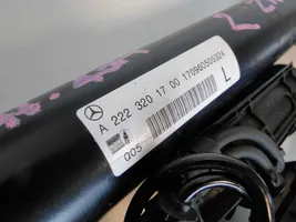 Mercedes-Benz S W222 Ammortizzatore/sospensione pneumatica A2223201700