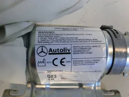 Mercedes-Benz GLS X166 Roof airbag A1668601002