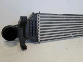 Mercedes-Benz CLA C117 X117 W117 Starpdzesētāja radiators A2465000100