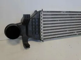 Mercedes-Benz CLA C117 X117 W117 Starpdzesētāja radiators A2465000100