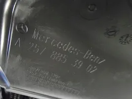 Mercedes-Benz CLS W257 Oberes Gitter vorne 