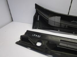 Toyota Camry Wiper trim -