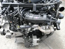 Hyundai Santa Fe Engine D4HB