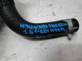 Hyundai Tucson IV NX4 Przewód / Wąż chłodnicy HOC059004