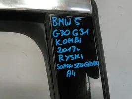 BMW 5 G30 G31 Portiera anteriore 