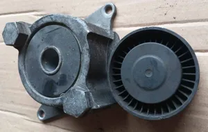 Toyota Corolla Verso E121 Tendicinghia generatore/alternatore 166200R010