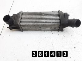 Peugeot 407 Coolant radiator 9645682880