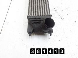 Peugeot 407 Radiador del refrigerante 9645682880
