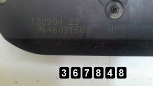 Citroen C3 Zamek drzwi przednich 9646091580