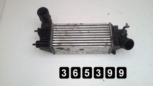 Peugeot 607 Aušinimo skysčio radiatorius 2200HDI