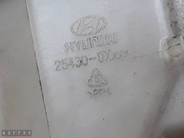 Hyundai i10 Aušinimo skysčio išsiplėtimo bakelis 254300XXXX