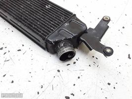 Citroen C-Crosser Radiatore intercooler 1530A061