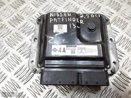 Nissan Pathfinder R52 Calculateur moteur ECU 237105X31C
