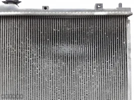 Mitsubishi Grandis Coolant radiator 4220006470