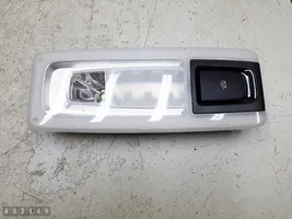 BMW X5 F15 Rivestimento della console di illuminazione installata sul rivestimento del tetto 