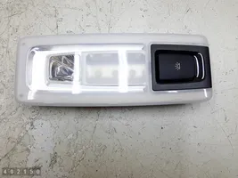 BMW X5 F15 Rivestimento della console di illuminazione installata sul rivestimento del tetto 