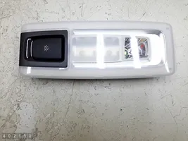 BMW X5 F15 Rivestimento della console di illuminazione installata sul rivestimento del tetto 