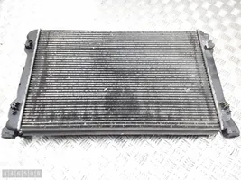 Seat Exeo (3R) Dzesēšanas šķidruma radiators 8e0121251a