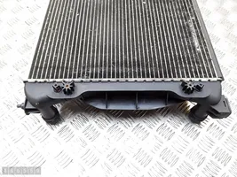 Seat Exeo (3R) Dzesēšanas šķidruma radiators 8e0121251a