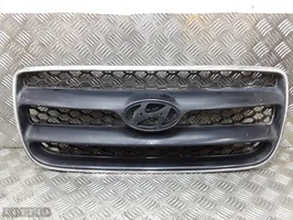 Hyundai Santa Fe Griglia anteriore E865612B010