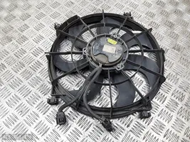 Hyundai i20 (PB PBT) Electric radiator cooling fan a005341