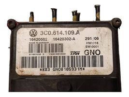 Volkswagen PASSAT B6 ABS Blokas 3C0614109A