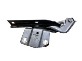 Volkswagen Jetta VI Engine bonnet/hood hinges 5C6823302