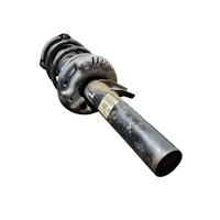 Audi TT TTS Mk2 Front shock absorber/damper 8J0413031R