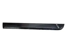 Audi A4 S4 B7 8E 8H Rear door trim (molding) 