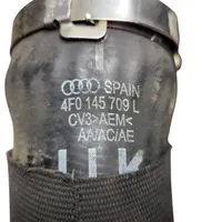 Audi A6 S6 C6 4F Interkūlerio žarna (-os)/ vamzdelis (-iai) 4F0145709L