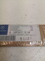 Mercedes-Benz B W245 Other body part A1698171315