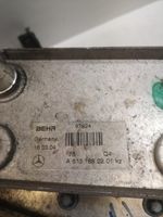 Mercedes-Benz E W211 Copertura della catena di distribuzione A6460100733